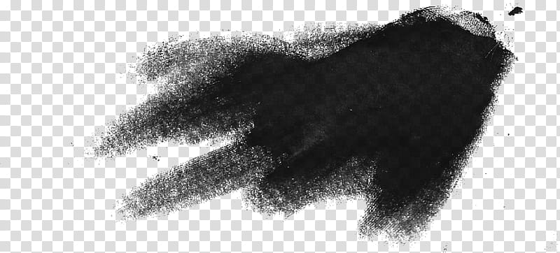 black ash transparent background PNG clipart