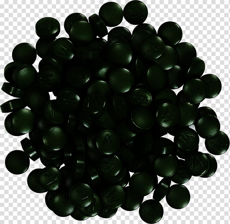 black jelly bean plant transparent background PNG clipart