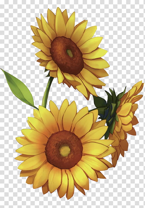 Watchers, sunflower illustration transparent background PNG clipart