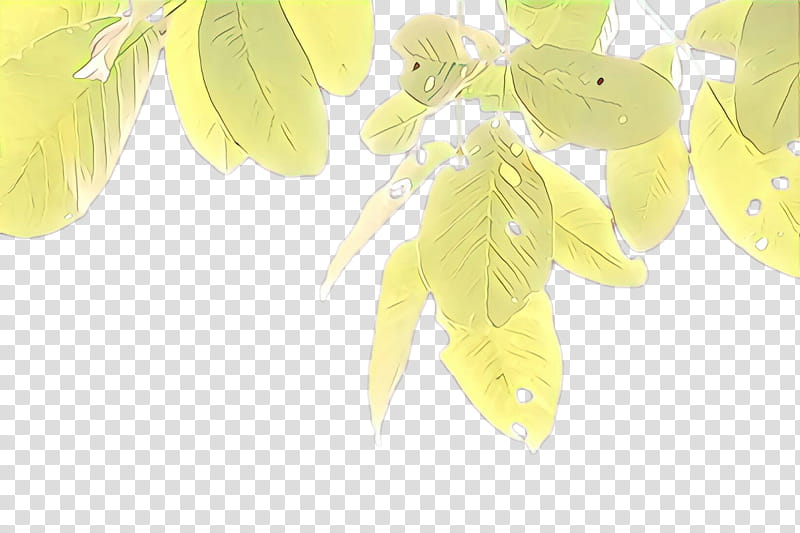 Feather, Cartoon, Yellow, Leaf, Plant, Tree transparent background PNG clipart