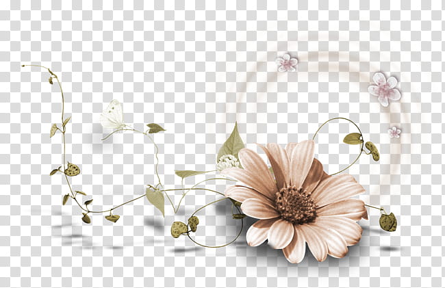 Floral Blossom, Vase, Still Life , Floral Design, Plants, Flower, Petal, Wildflower transparent background PNG clipart