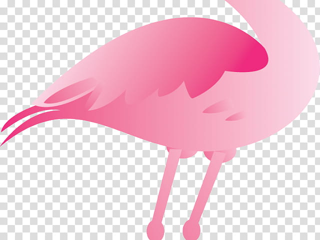 Pink Flamingo, Plastic Flamingo, Bird, Skin, Lawn Ornaments Garden Sculptures, Greater Flamingo, Water Bird transparent background PNG clipart