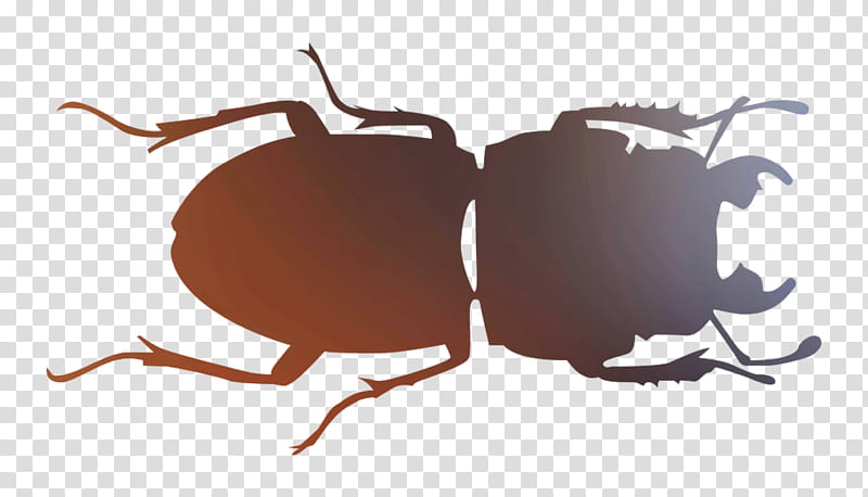 Ant, Insect, Pest, Membrane, Stag Beetles, Darkling Beetles transparent background PNG clipart