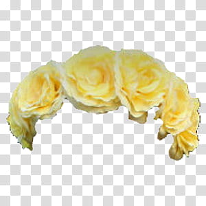 Flower Crowns, yellow flower headband transparent background PNG clipart