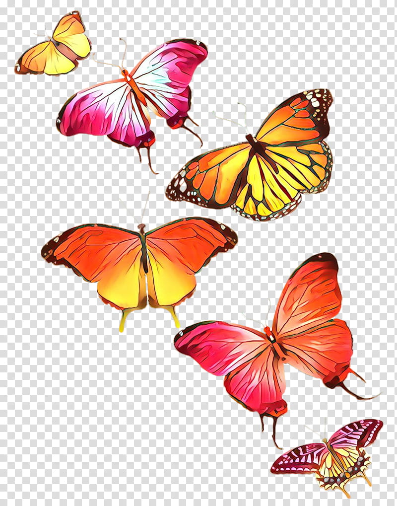 Monarch butterfly, Moths And Butterflies, Insect, Brimstones, Brushfooted Butterfly, Pollinator, Pieridae, Symmetry transparent background PNG clipart