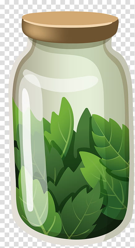 Water Bottle Drawing, Cartoon, Leaf, Plants, Animation, Essential Oil, Green, Watercolor Painting transparent background PNG clipart