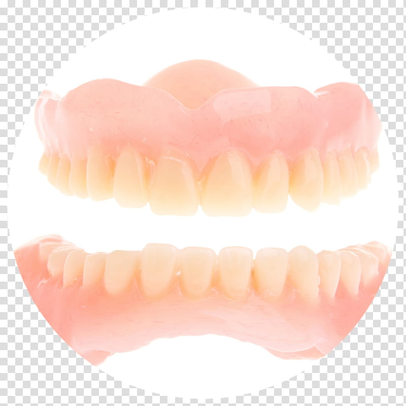 Mouth, Tooth, Human Tooth, Dentures, Jaw, Lip transparent background PNG clipart