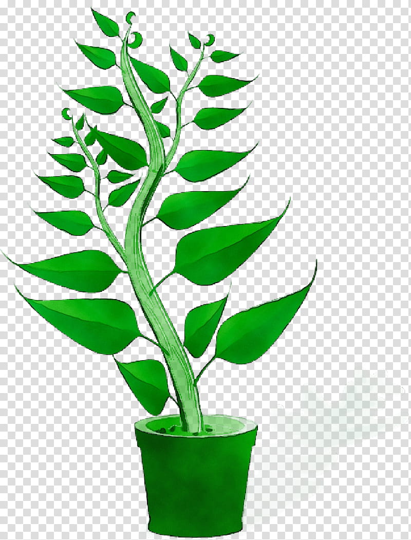 Green Leaf, Plants, Plant Genetics, Agriculture, Plant Breeding, Freelancer, Garden, Tree transparent background PNG clipart