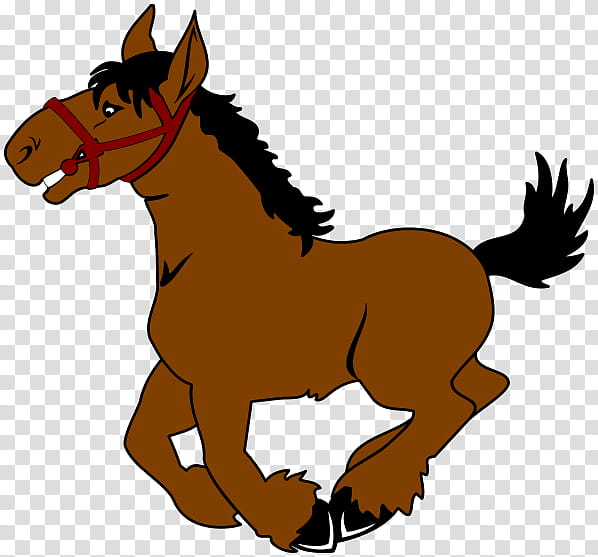 Horse, Foal, Tennessee Walking Horse, Pony, Arabian Horse, Stallion, Colt, Cartoon transparent background PNG clipart