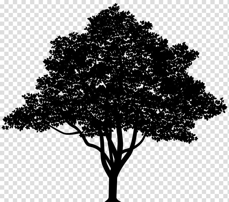 fruit tree silhouette