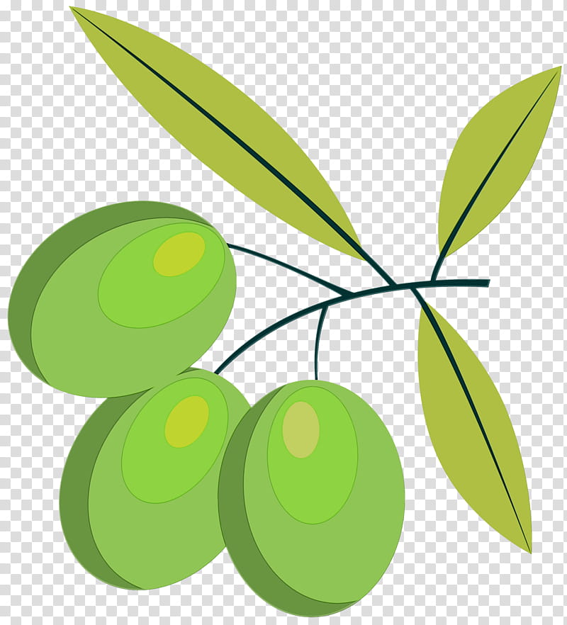 leaf green olive plant tree, Watercolor, Paint, Wet Ink, Branch, Fruit, Plant Stem transparent background PNG clipart