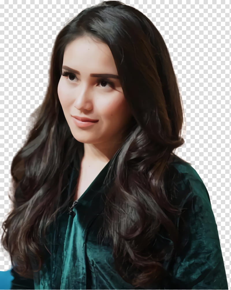 Hair, Ayu Ting Ting, Dhadkan, Tribunnewscom, Punjabi Language, Video, Tribun Batam, Ivan Gunawan transparent background PNG clipart