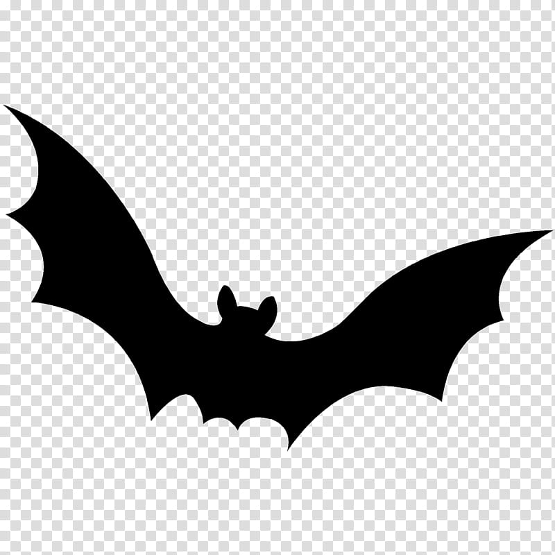 HALLOWEEN HANNAK, black bat icon transparent background PNG clipart