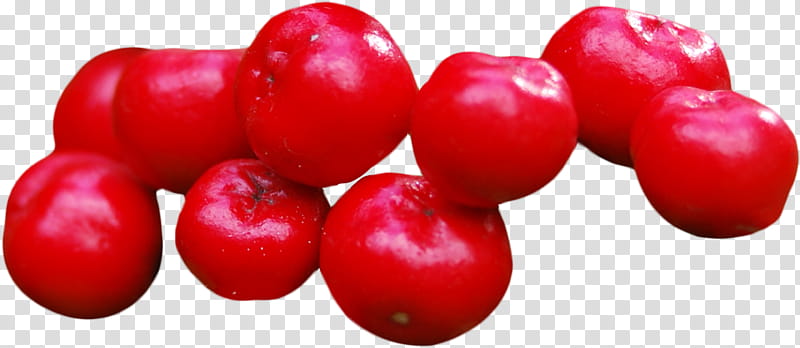 Tomato, Plum Tomato, Food, Cranberry, 2019 Toyota Avalon, Berries, Fruit, Barbados Cherry transparent background PNG clipart