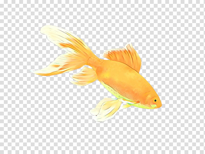 Fish, Cartoon, Goldfish, Feeder Fish, Fin, Yellow, Tail, Koi transparent background PNG clipart
