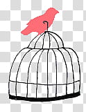 FILES, bird on birdcage illustration transparent background PNG clipart