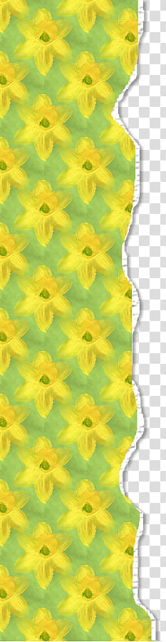 Monti Daffodil Scrap Kit transparent background PNG clipart