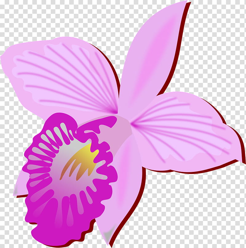 Pink Flower, Bamboo Orchid, Drawing, Orchids, Violet, Purple, Plant, Petal transparent background PNG clipart