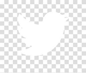 twitter bird icon transparent background