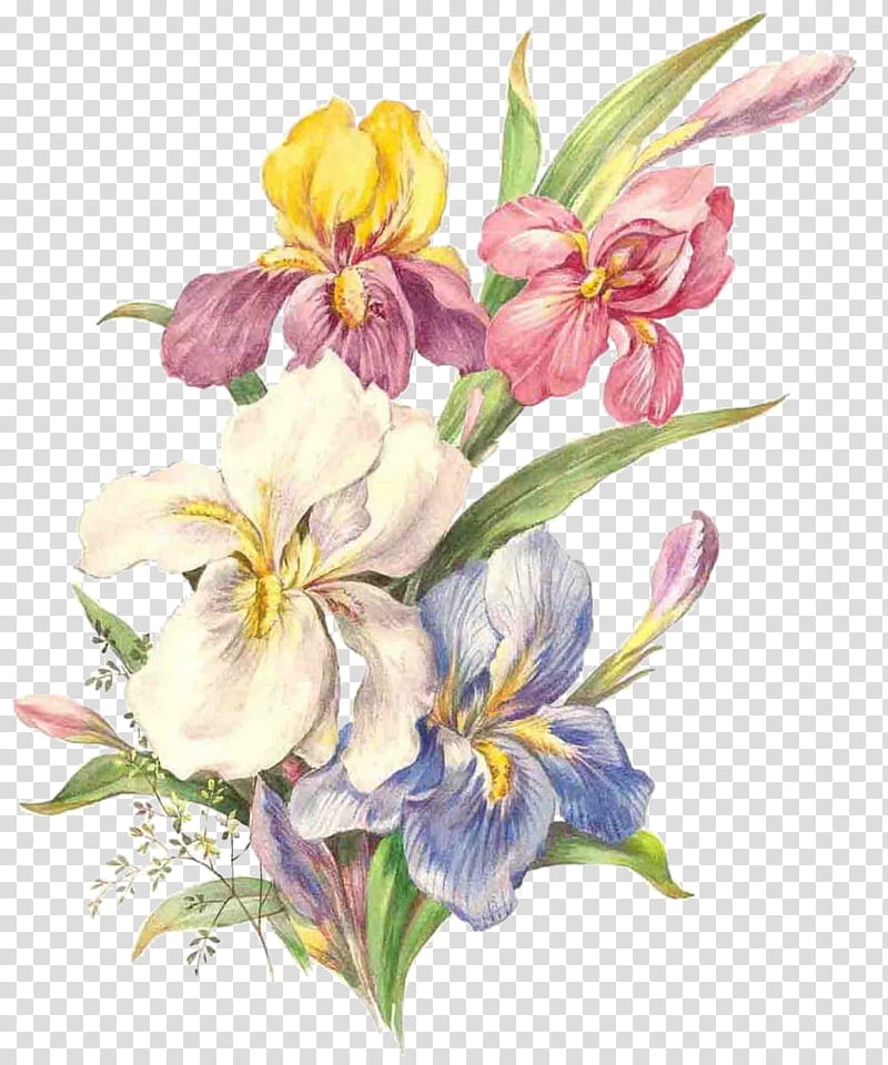 Bouquet Of Flowers Drawing, Watercolor Flowers, Watercolor Painting, Artist, Decoupage, Floral Design, Plant, Petal transparent background PNG clipart