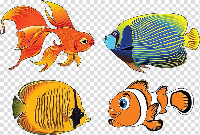 fish pomacanthidae fish pomacentridae aquarium decor, Animal Figure, Coral Reef Fish, Butterflyfish transparent background PNG clipart