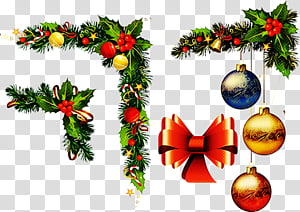 Christmas ornament, Colorado Spruce, Tree, Plant, Oregon Pine, Christmas Decoration, Fir, Evergreen transparent background PNG clipart thumbnail