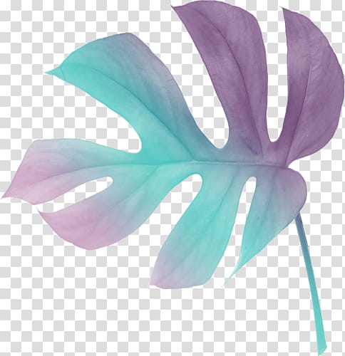 purple and blue leaf transparent background PNG clipart
