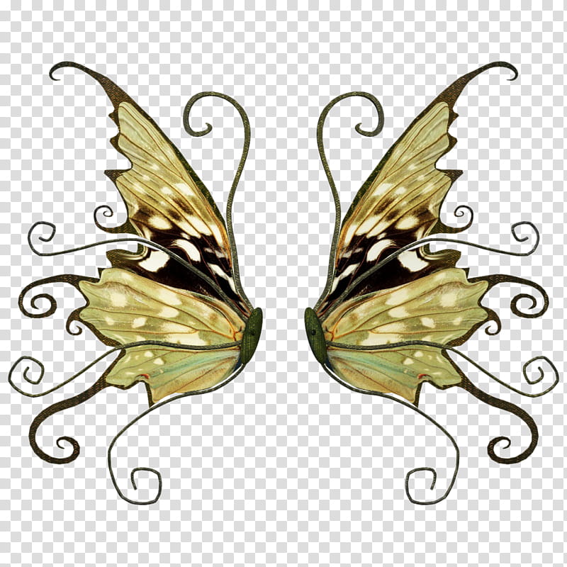 D Fae Wings , butterfly wings illustration transparent background PNG clipart