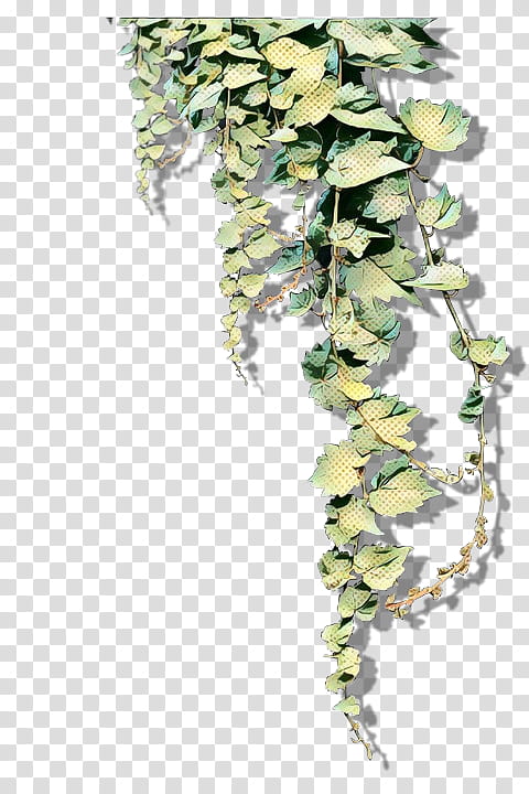 Oak Tree Silhouette, River Birch, Leaf, Twig, Plants, Silver Birch, Paper Birch, Flower transparent background PNG clipart