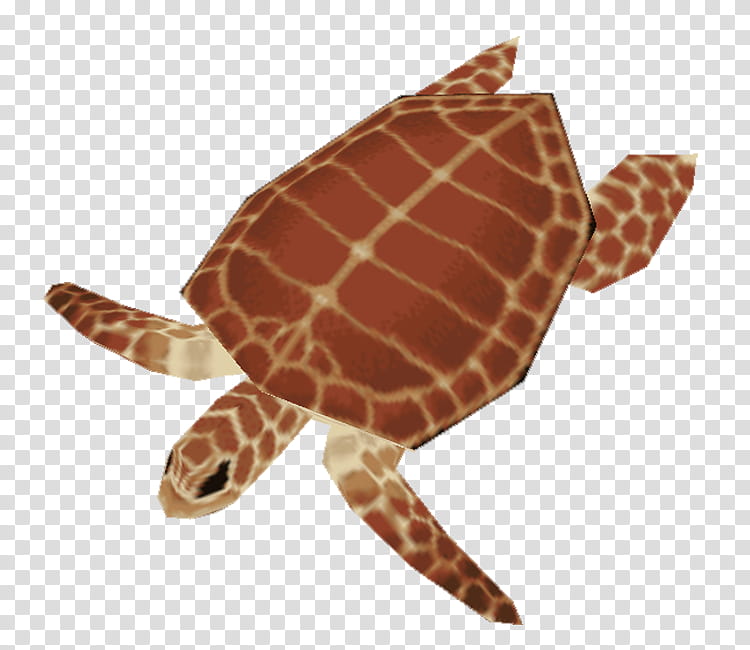 Sea Turtle, Loggerhead Sea Turtle, Reptile, Animal, Cat, Green Sea Turtle, Toy, Caretta transparent background PNG clipart