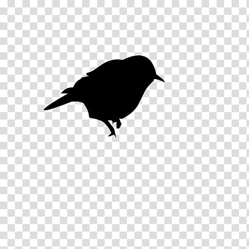 Ultimo Pedido hipster, black bird illustration transparent background PNG clipart