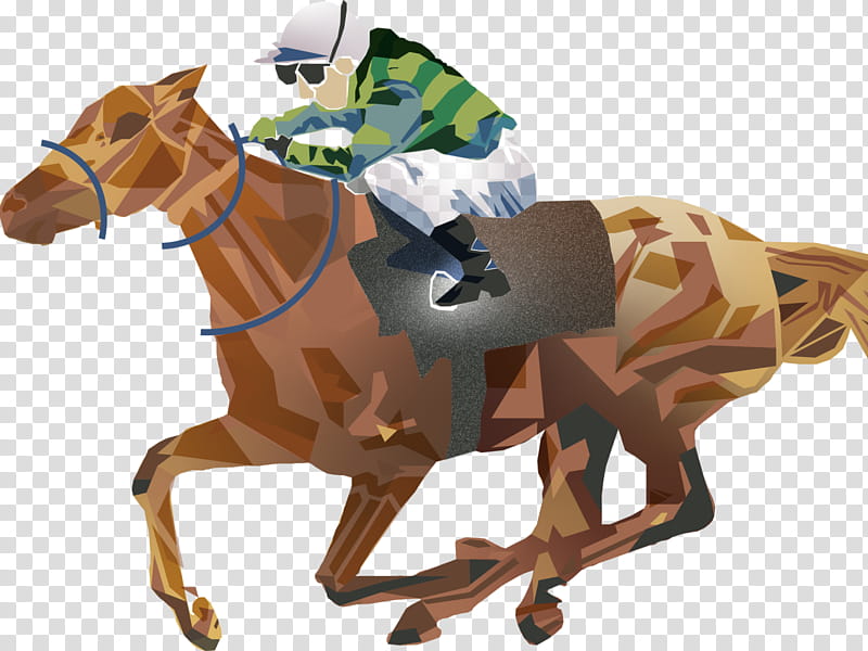 Animal, Dog, Rein, Mustang, Stallion, Halter, Equestrian, Saddle transparent background PNG clipart