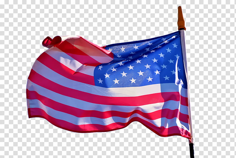 Usa Flag, Flag Of The United States, New Jersey, Georgia, Alabama, Us State, Blog, Painting transparent background PNG clipart