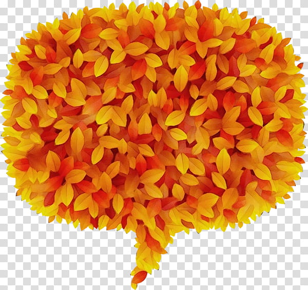 Orange, Watercolor, Paint, Wet Ink, Yellow, English Marigold, Heart, Pompom, Cuisine, Food transparent background PNG clipart