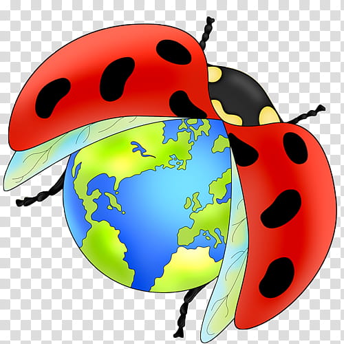 Ladybird, Beetle, Sevenspot Ladybird, Asian Lady Beetle, Blog, Ladybird Ladybird, Animation Art The Early Years 191154, Insect transparent background PNG clipart