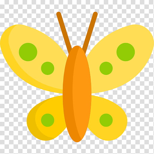 Orange Flower, Butterfly, German Cockroach, Yellow, Moth, Pterygota, Color, Blattodea transparent background PNG clipart