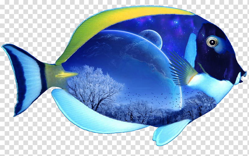 Fantasy Fish, blue fish transparent background PNG clipart