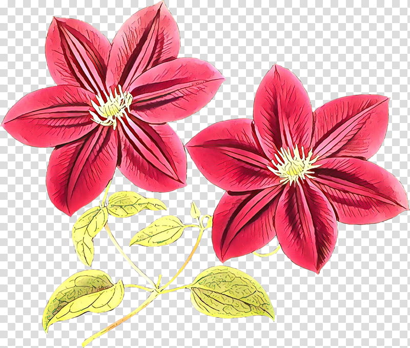 Pink Flower, Leather Flower, Plants, Logo, Text, Magenta, Result, Petal transparent background PNG clipart