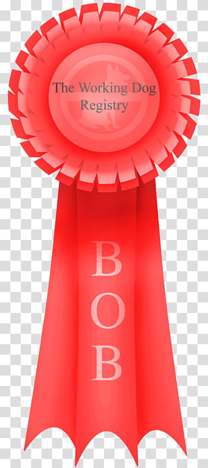 BOB Ribbon transparent background PNG clipart thumbnail