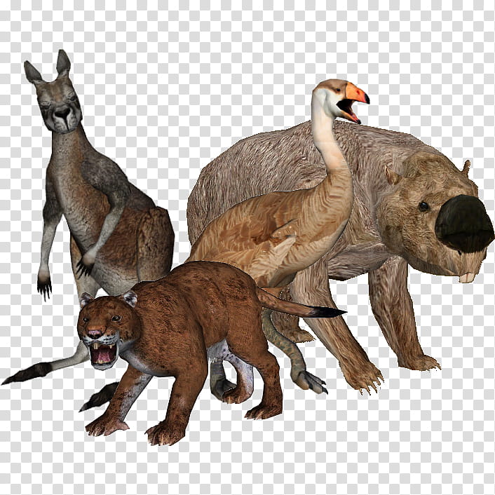 Kangaroo, Australian Megafauna, Pleistocene Megafauna, Holocene Extinction, Prehistory Of Australia, Procoptodon, Extinction Event, Diprotodon transparent background PNG clipart