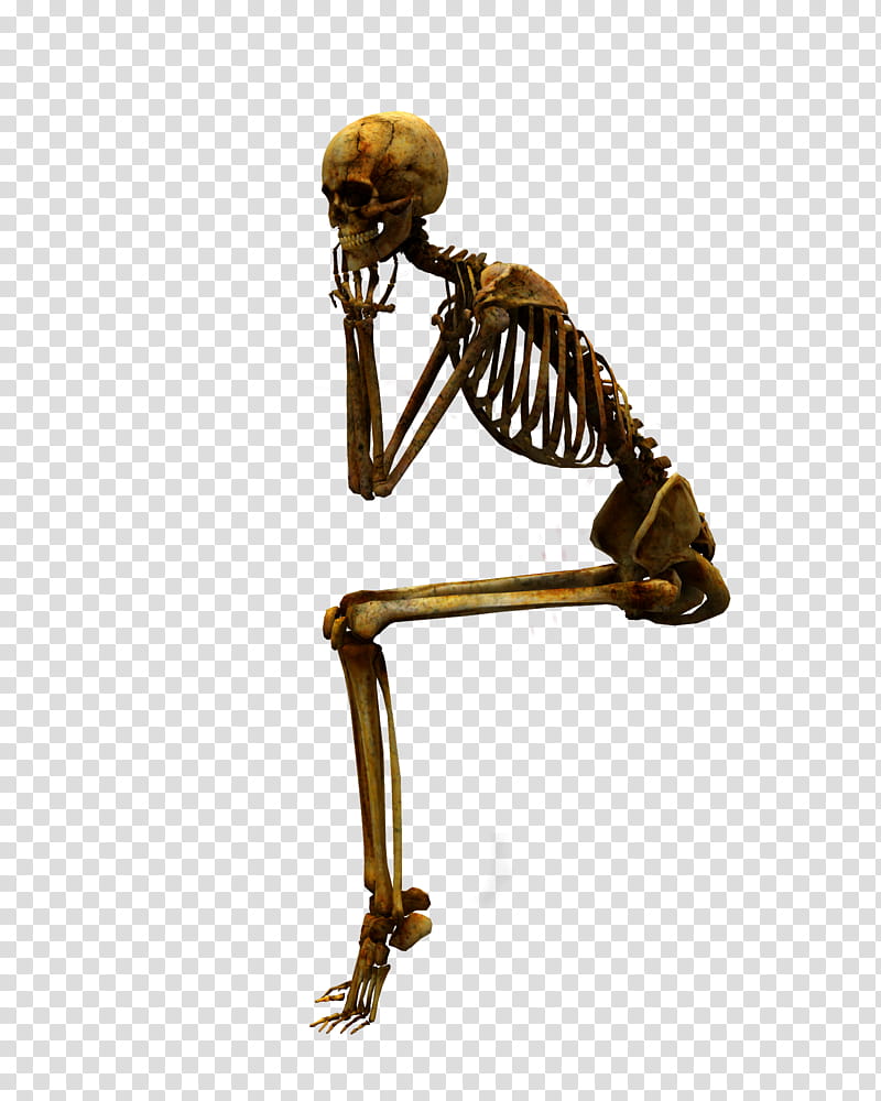 E S Bones I, yellow sitting skeleton illustration transparent background PNG clipart