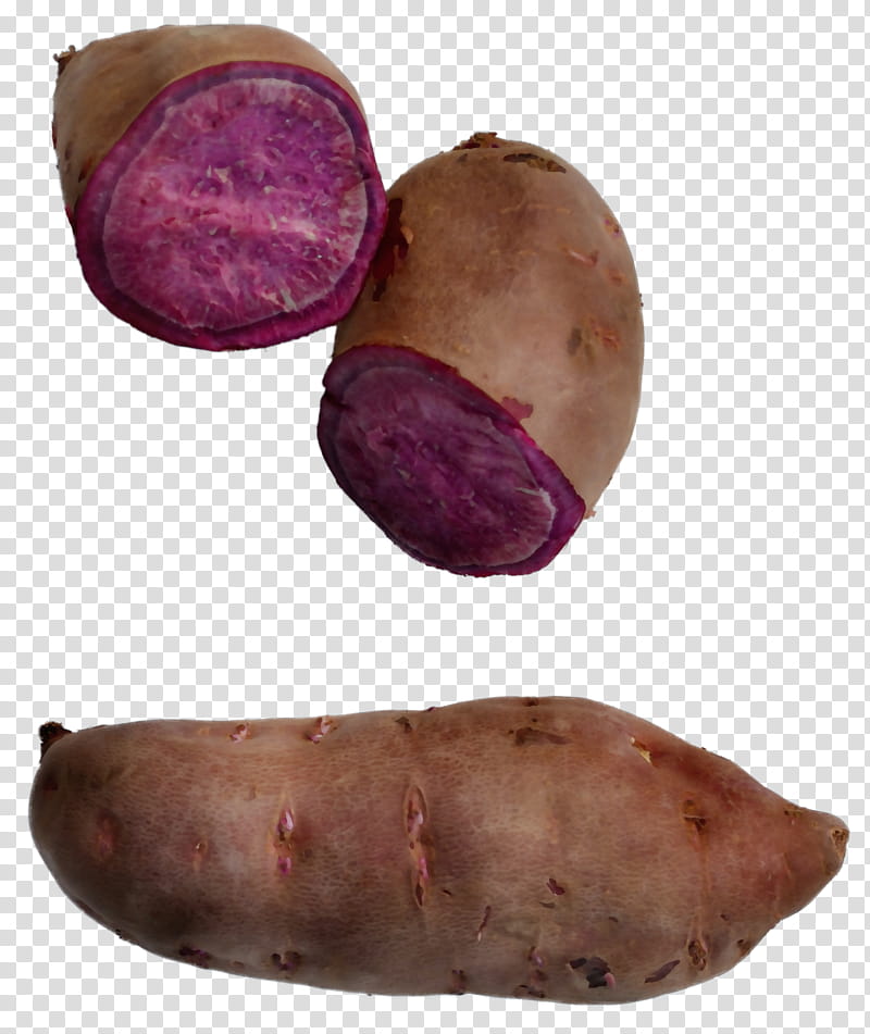 sweet potato root vegetable yam tuber vegetable, Watercolor, Paint, Wet Ink, Purple Yam, Food, Russet Burbank Potato transparent background PNG clipart