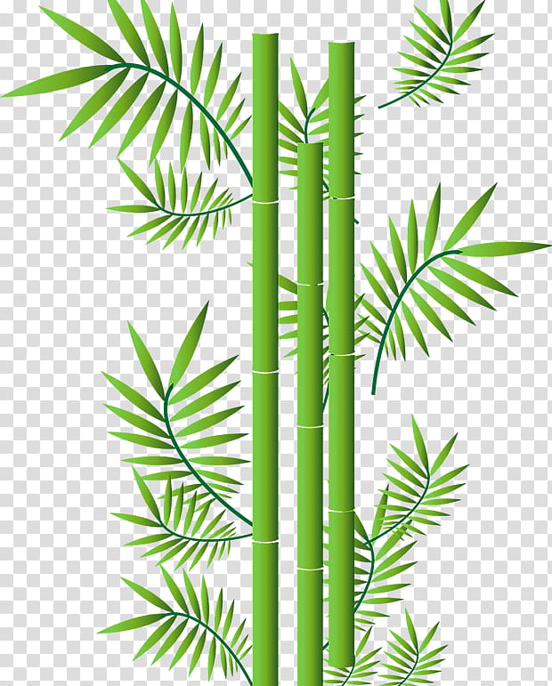 Palm Tree Drawing, Bamboo, Tropical Woody Bamboos, Shakuhachi, Grasses, Leaf, Plant, Vegetation transparent background PNG clipart