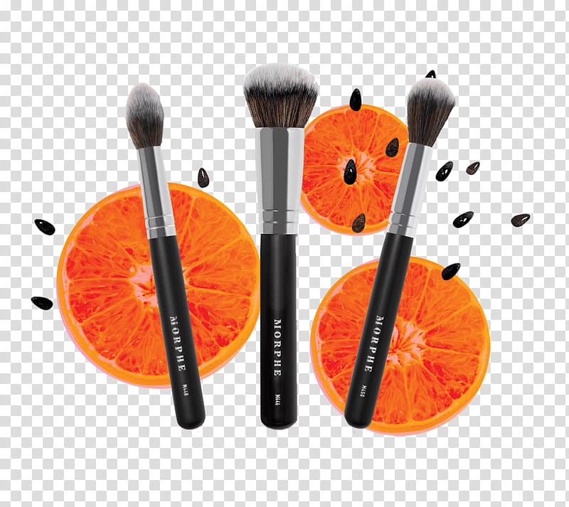 Make-Up Brushes Morphe Cosmetics Beauty, Makeup Brushes, Subscription Box, World, Orange transparent background PNG clipart
