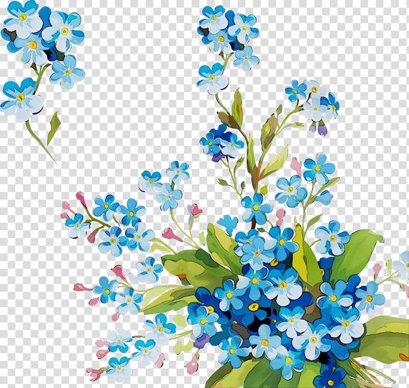 alpine forget-me-not forget-me-not flower blue plant, Watercolor, Paint, Wet Ink, Alpine Forgetmenot, Cut Flowers, Flowering Plant, Branch transparent background PNG clipart