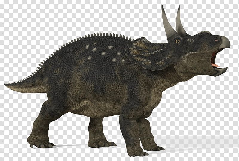 Diceratops , black rhinoceros transparent background PNG clipart