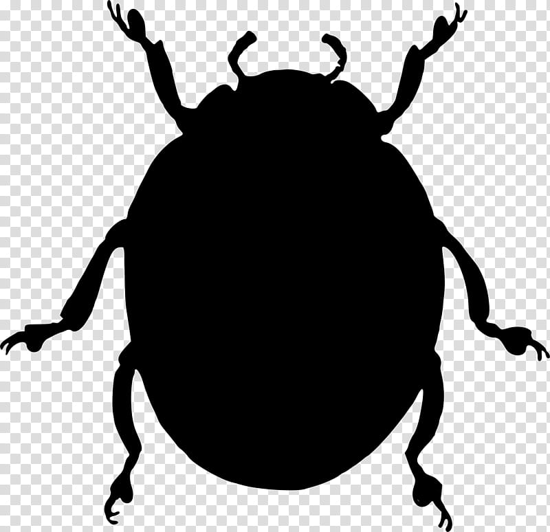 Bird Silhouette, Insect, Weevil, Black M, Lady Bird, Beetle, Pest, Blackandwhite transparent background PNG clipart