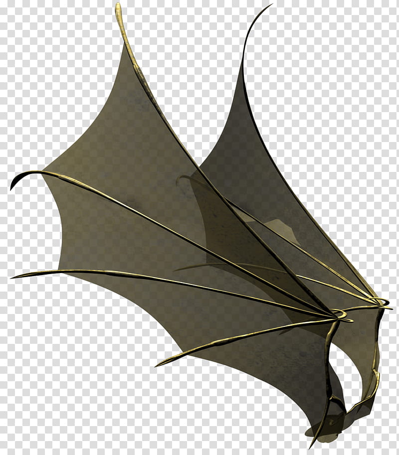 Harpy Kit, black wing transparent background PNG clipart