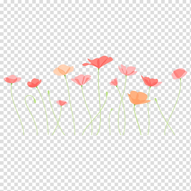 poppy flower, Coquelicot, Plant Stem, Corn Poppy, Petal, Poppy Family, Wildflower, Pedicel transparent background PNG clipart