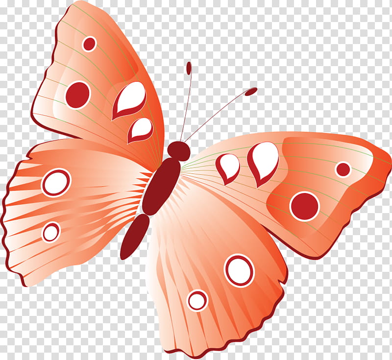 Monarch Butterfly, Insect, Brushfooted Butterflies, Borboleta, Video, Moth, Animation, Cartoon transparent background PNG clipart